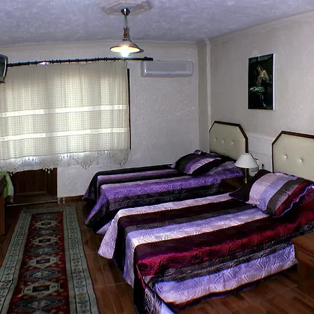 Amazon Antique Penzion 3*