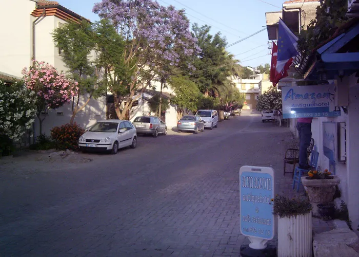 Гостевой дом Amazon Antique