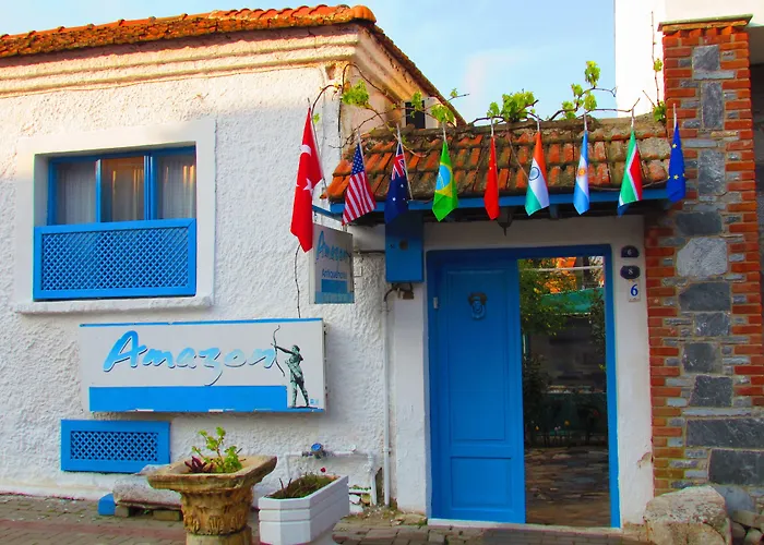 Гостевой дом Amazon Antique