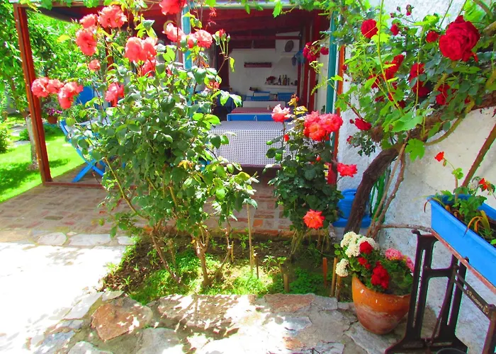 بيت ضيافة Amazon Antique