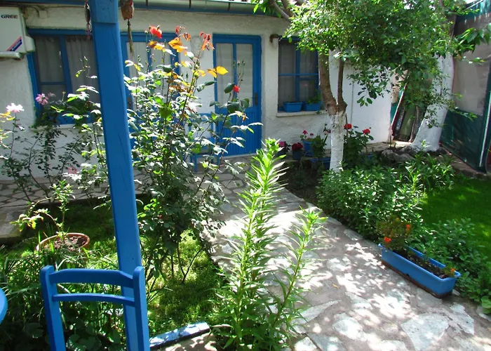 Amazon Antique Сельчук