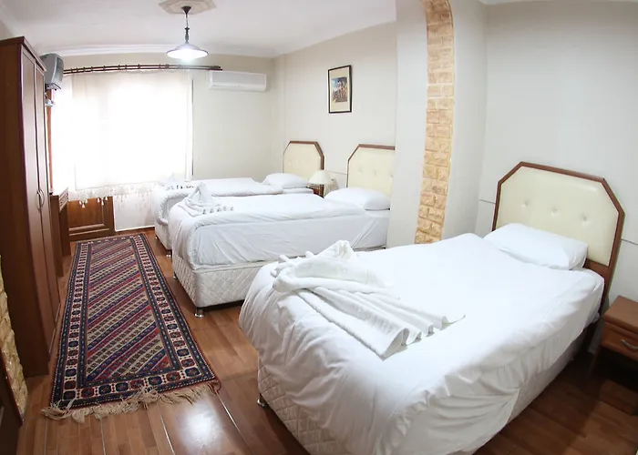 Amazon Antique بيت ضيافة 4*