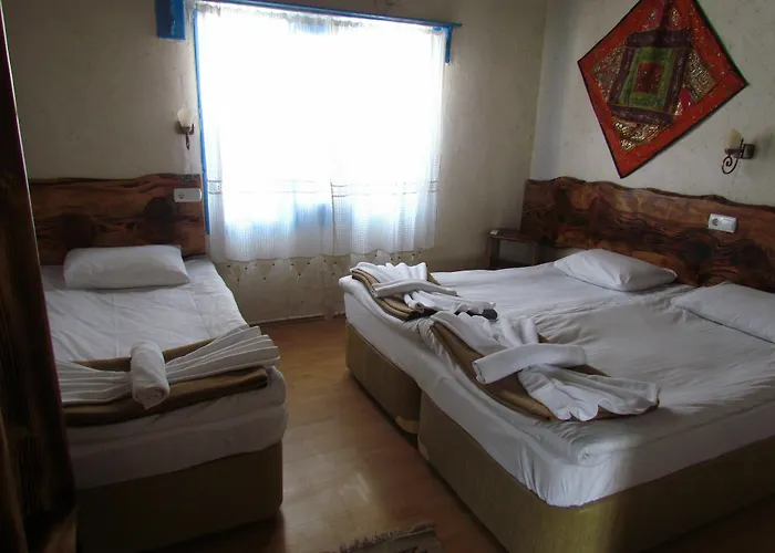 Гостевой дом Amazon Antique