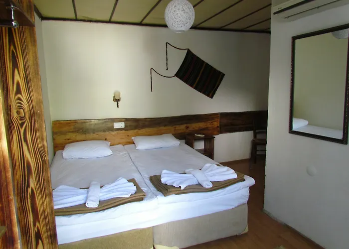 بيت ضيافة Amazon Antique سلجوك