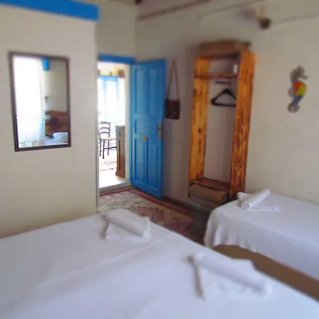 Amazon Antique بيت ضيافة 4*