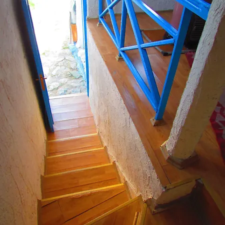 Amazon Antique سلجوك