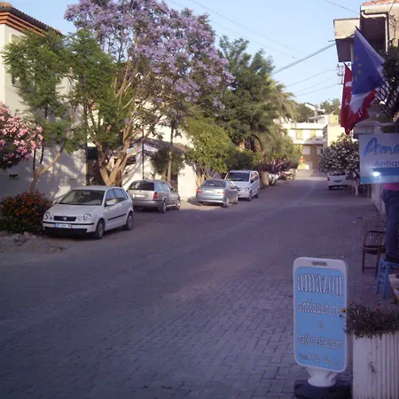 בית הארחה Amazon Antique