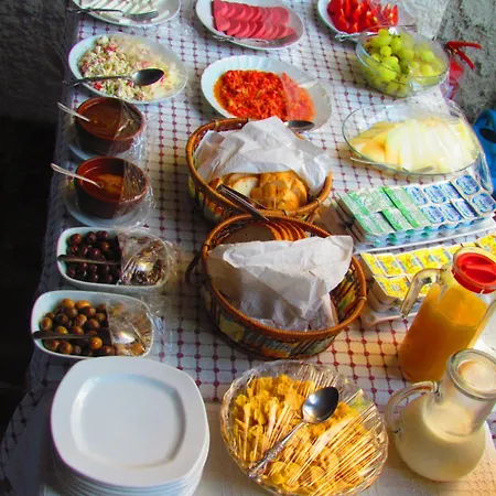 بيت ضيافة Amazon Antique سلجوك