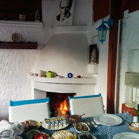 בית הארחה Amazon Antique