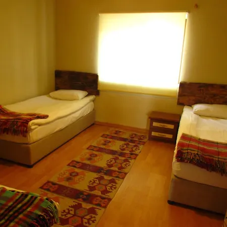 بيت ضيافة Amazon Antique سلجوك