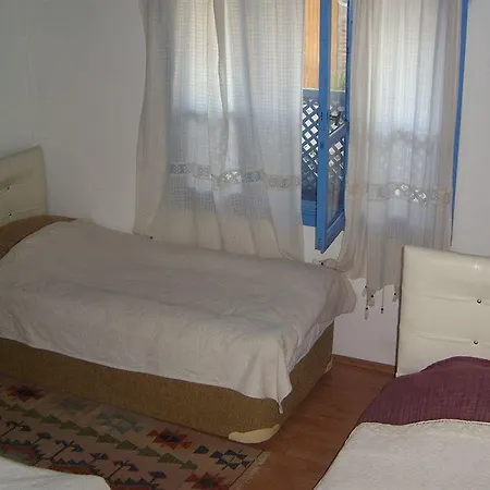 بيت ضيافة Amazon Antique سلجوك