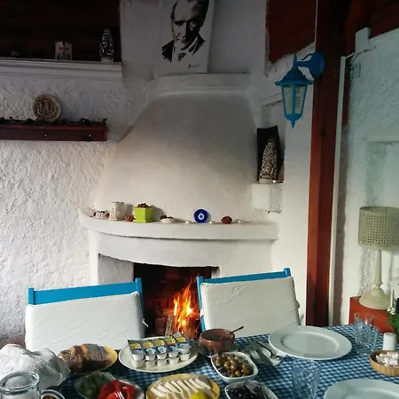Amazon Antique Guest house 3*