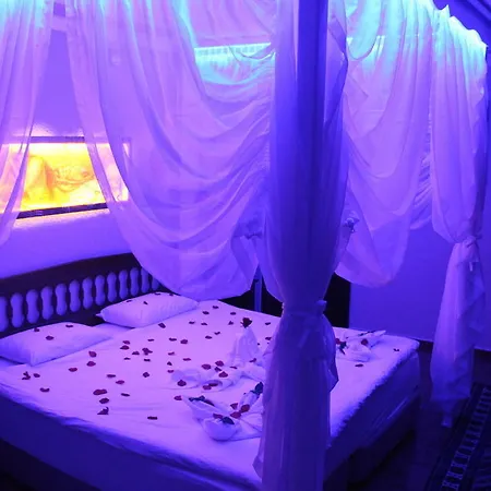 Amazon Antique Guest house