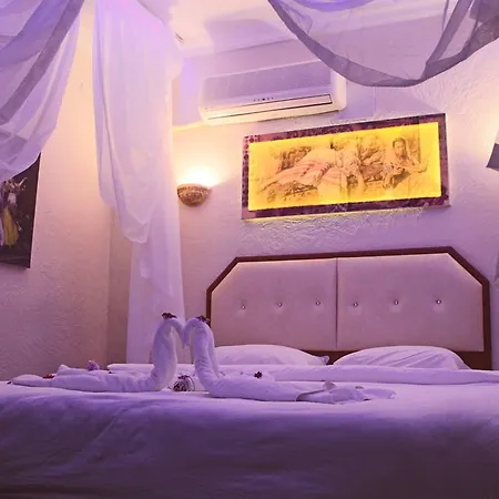 بيت ضيافة Amazon Antique