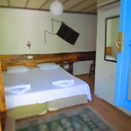 Guest house Amazon Antique