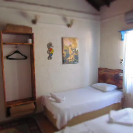 Amazon Antique Selcuk