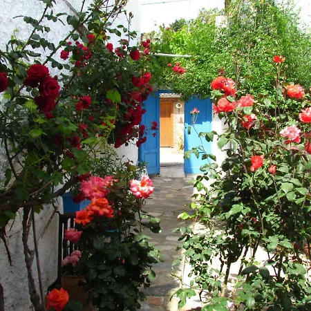 Amazon Antique Guest house