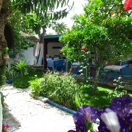 Amazon Antique 3* Selcuk
