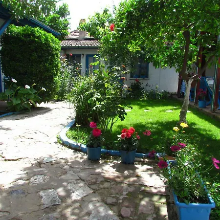 Guest house Amazon Antique