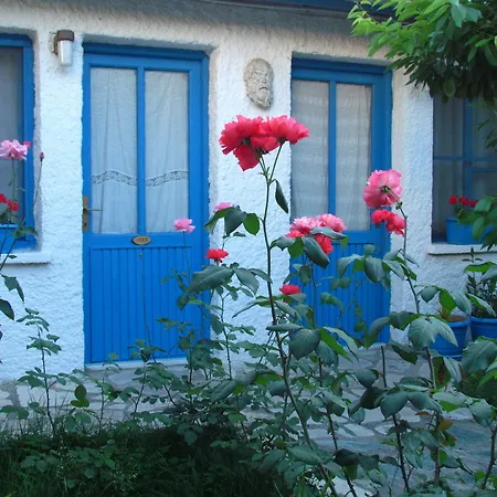 Amazon Antique سلجوك