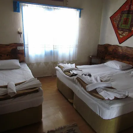 Guest house Amazon Antique