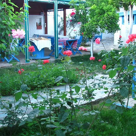 Amazon Antique سلجوك