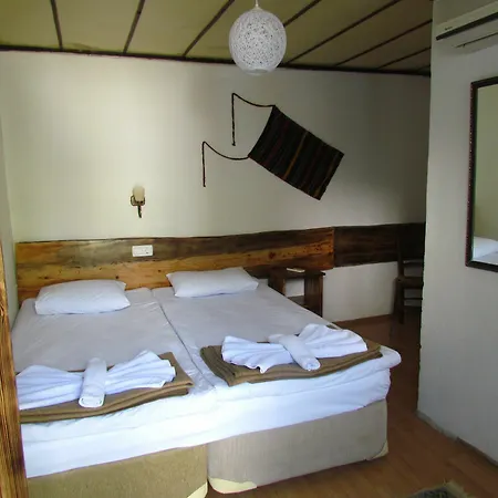 بيت ضيافة Amazon Antique سلجوك