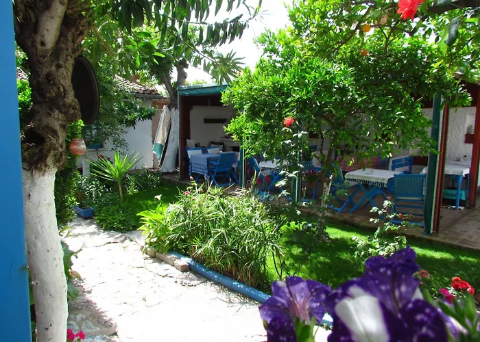 Πανσιόν Amazon Antique Σελτσούκ