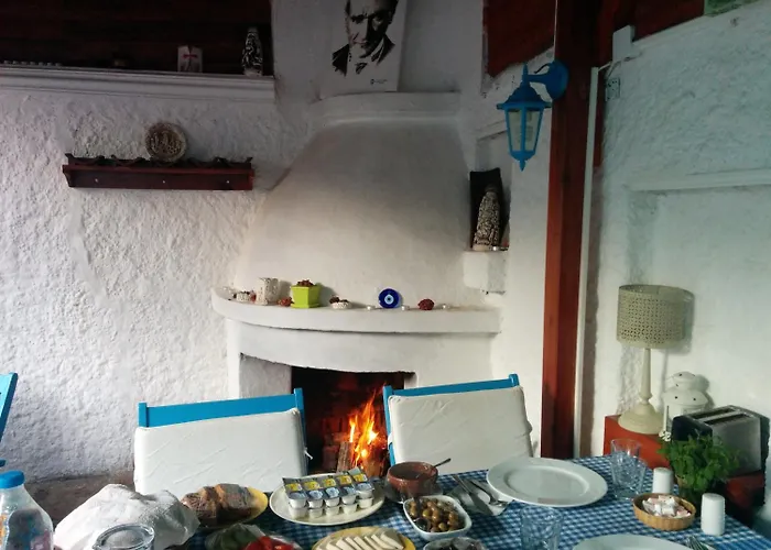 Πανσιόν Amazon Antique