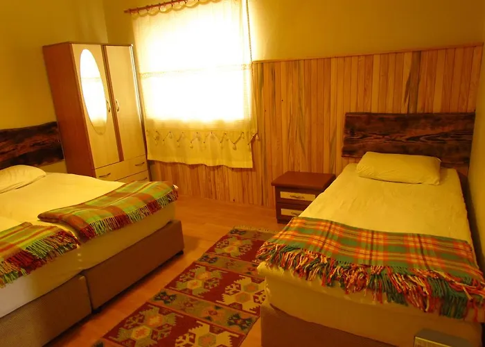 Amazon Antique Vendégház