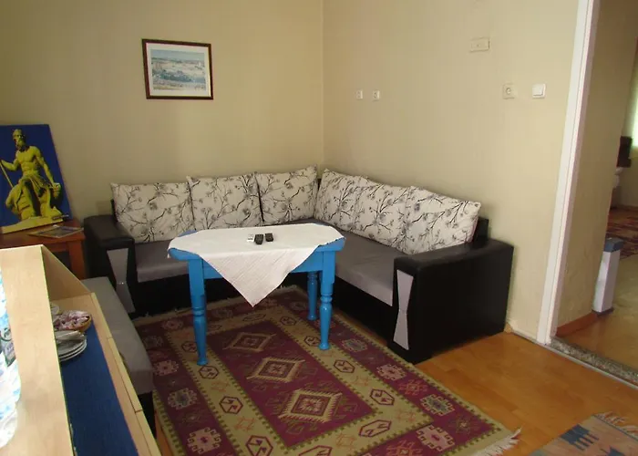 Amazon Antique Selçuk