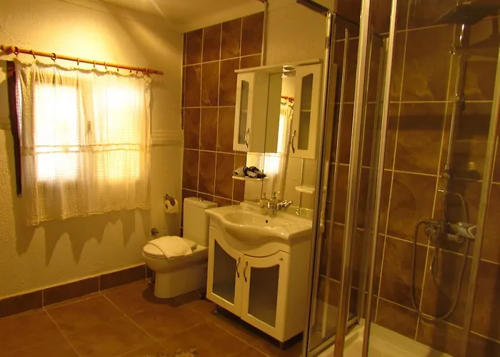 Πανσιόν Amazon Antique