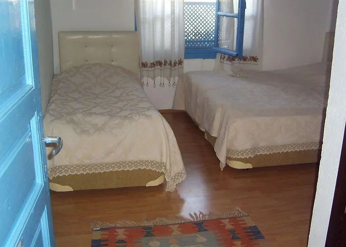 Πανσιόν Amazon Antique 4*