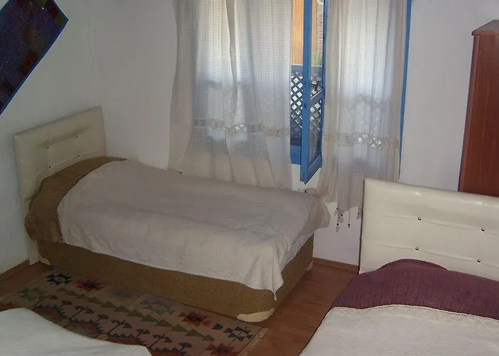 Πανσιόν Amazon Antique Σελτσούκ