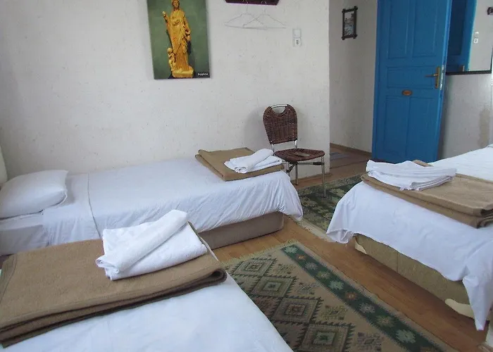 Πανσιόν Amazon Antique