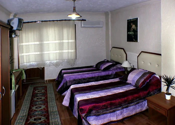 Amazon Antique Πανσιόν 4*