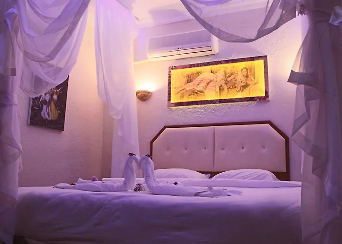 Πανσιόν Amazon Antique