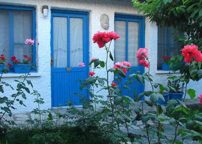 Amazon Antique Σελτσούκ