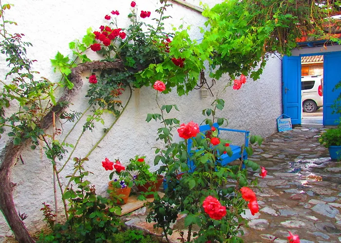 Πανσιόν Amazon Antique