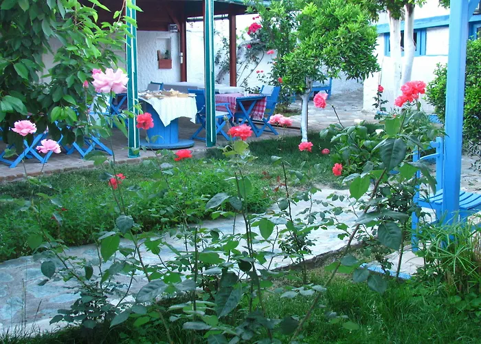 Amazon Antique Selçuk