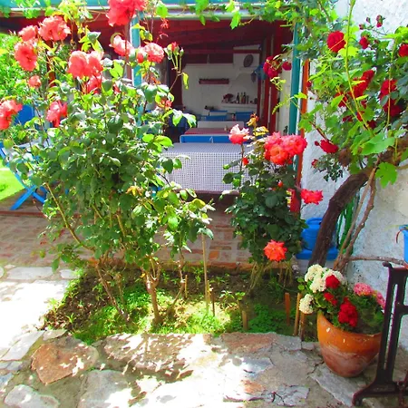 Pensionat Amazon Antique