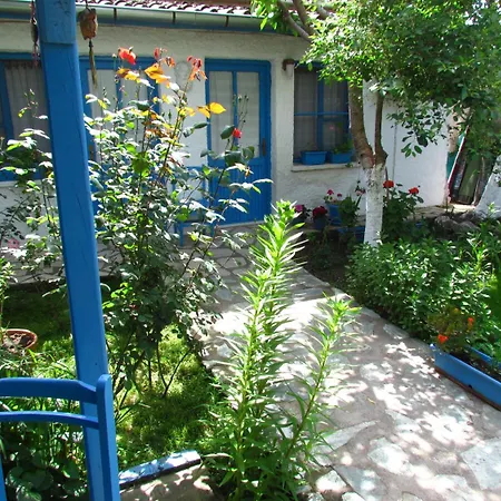 Amazon Antique Selçuk